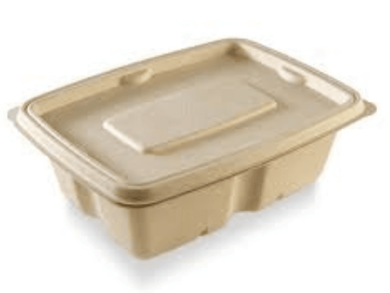 Premium Rectangular Sugarcane Containers